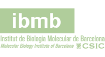 IBMB_logo